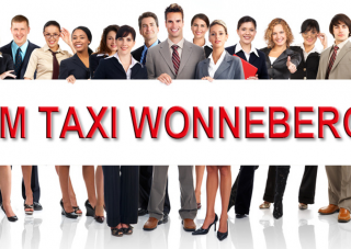 Jobangebote Berlin: Taxi-Alleinfahrer, Taxi-Schichtfahrer
